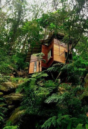Bed and Breakfast Jungle Tree House Rangala Канді Екстер'єр фото